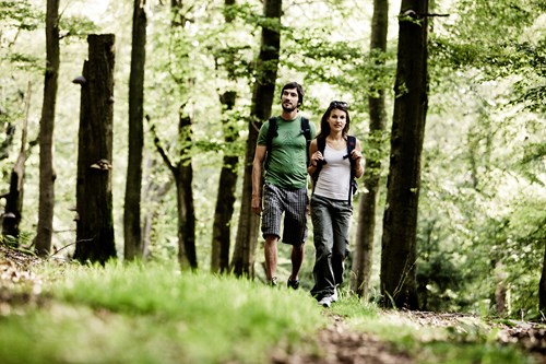 Wandern auf dem Soonwaldsteig