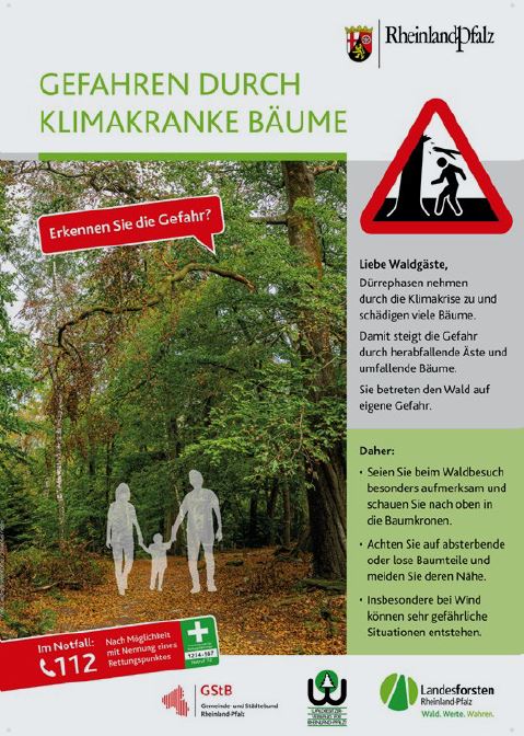 Dangers from climate-damaged trees