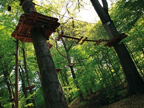 Wandern auf dem Soonwaldsteig