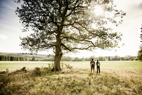Wandern auf dem Soonwaldsteig
