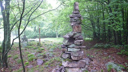 Wandern auf dem Soonwaldsteig