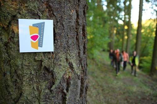 Wandern auf dem Soonwaldsteig