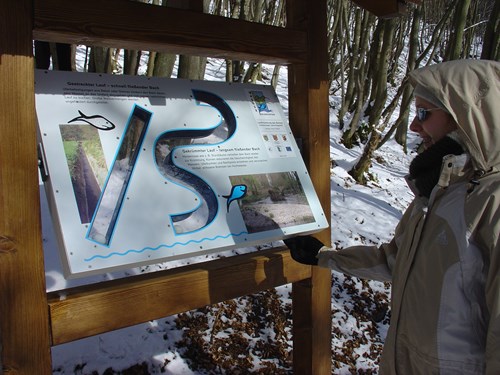 Wandern auf dem Soonwaldsteig