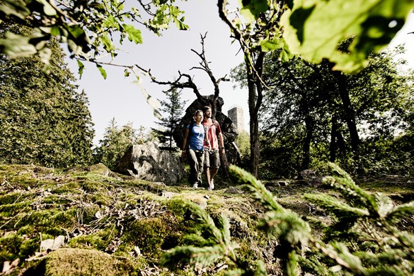 Wandern auf dem Soonwaldsteig
